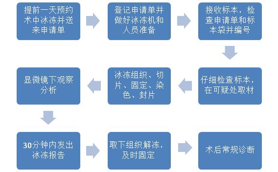 腫瘤的冷凍切片診斷是在何時進行
