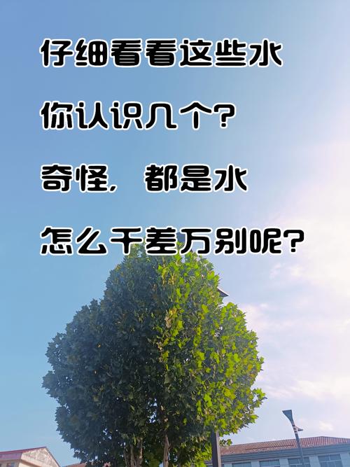 水代表什麼