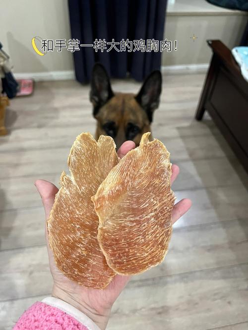 自在食刻哪裡買