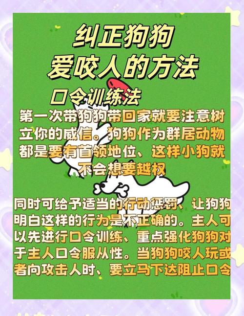 小狗亂咬東西怎麼辦