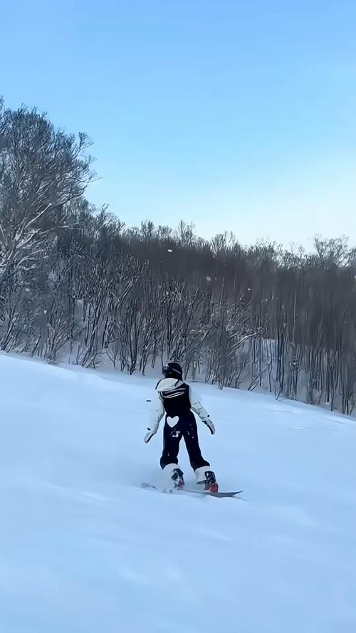 手稻滑雪場 適合新手嗎