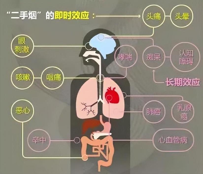 煙是什麼氣體