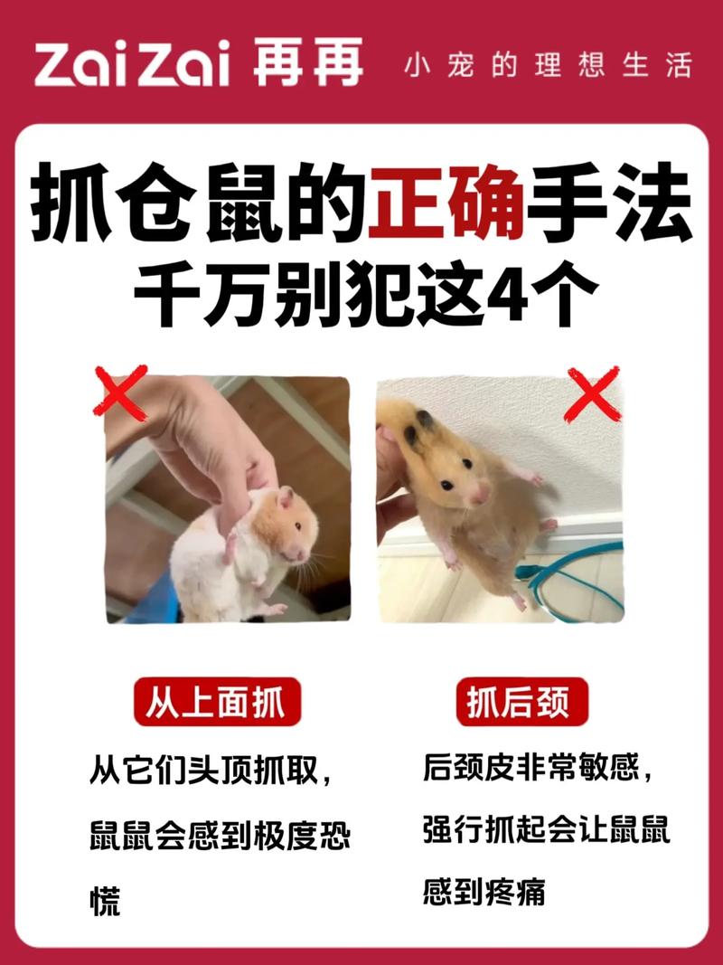 如何使用滑鼠