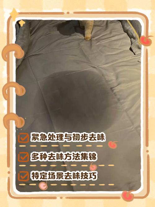 怎麼除貓尿味