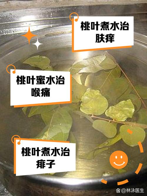 月桃葉怎麼保存