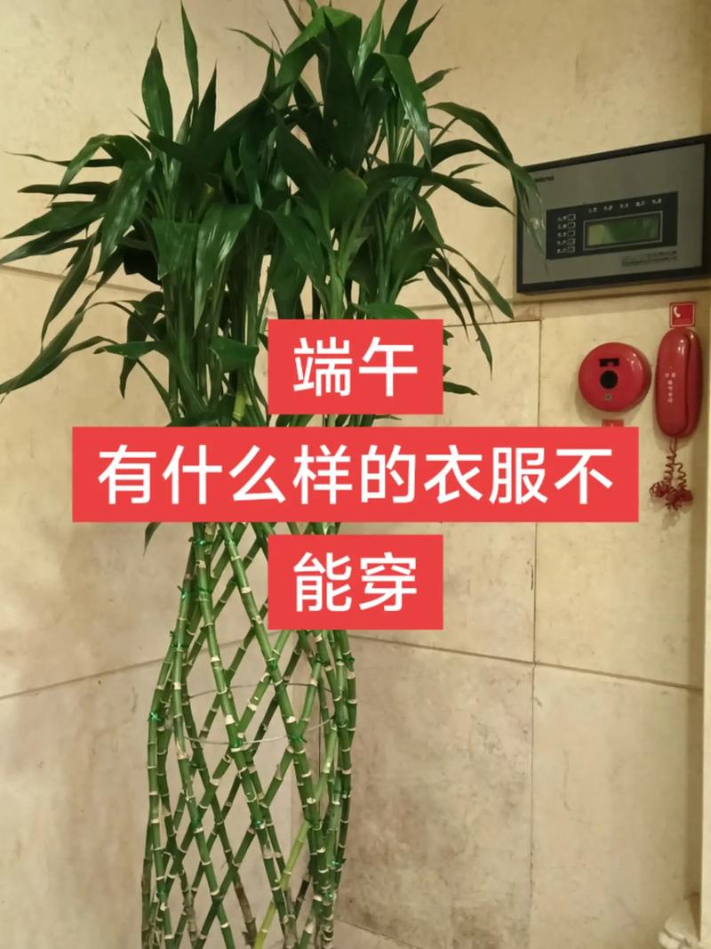 端午節不能穿什麼顏色的衣服
