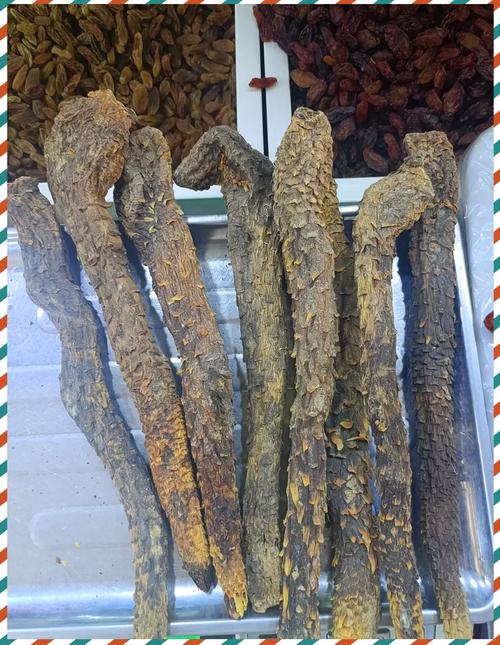 肉蓯蓉女生可以吃嗎