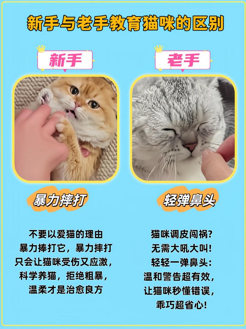 貓咪會記仇多久?深入解析貓咪記憶、學習與化解負面情緒的科學方法 1 貓咪會記仇多久