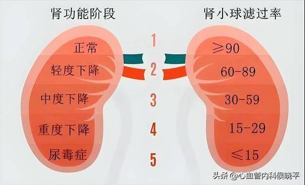 50歲腎絲球過濾率要多少