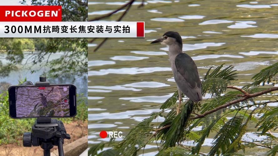 長焦鏡頭