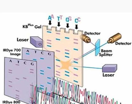 聚合反應是什麼?深度剖析從原理到應用的化學奧秘 1 聚合反應是什麼