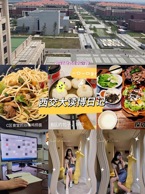 博士旺做什麼:揭秘其多元服務與核心價值 1 博士旺做什麼
