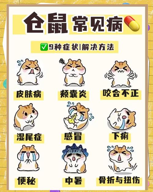 倉鼠有蟲怎麼辦:詳解寄生蟲問題、預防與治療全攻略 3 倉鼠 有蟲怎麼辦