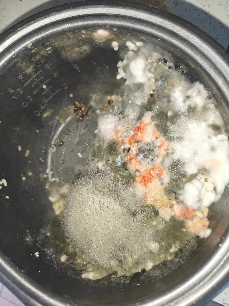黴菌煮的死嗎
