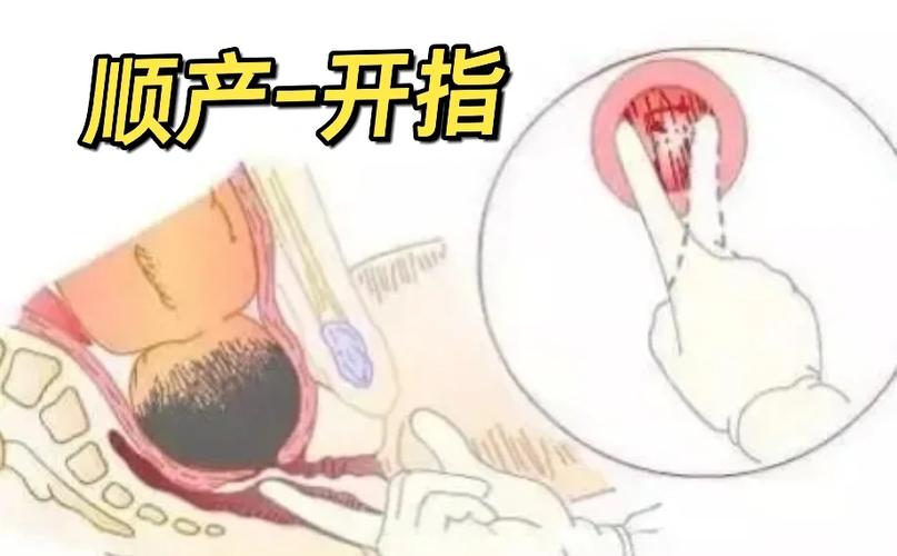 開指幾公分可以生
