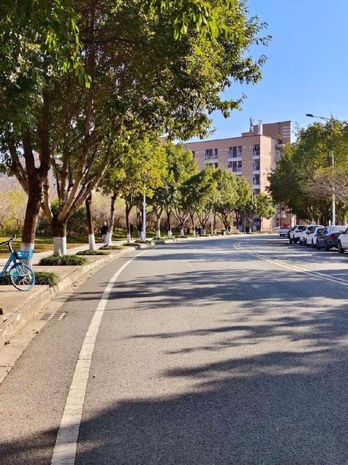 校園裡最美的角落