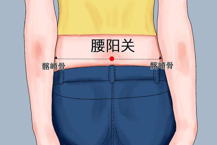 腰位置