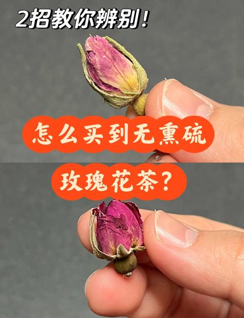 玫瑰花有毒嗎