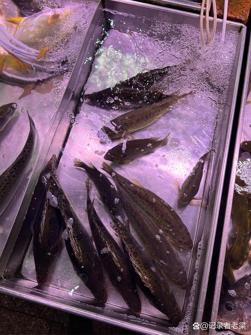 超市買回來的鮭魚要洗嗎