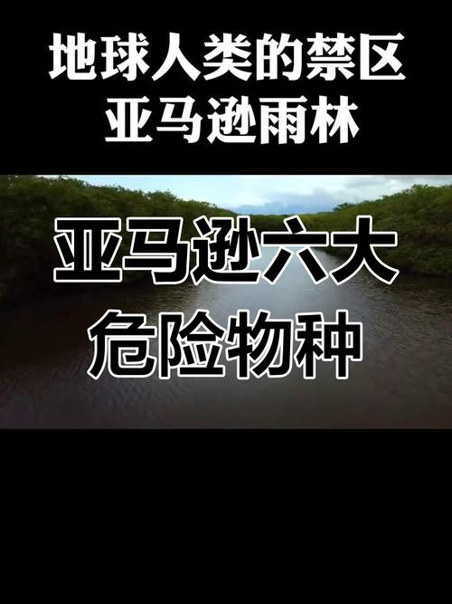 亞馬遜森林危險嗎