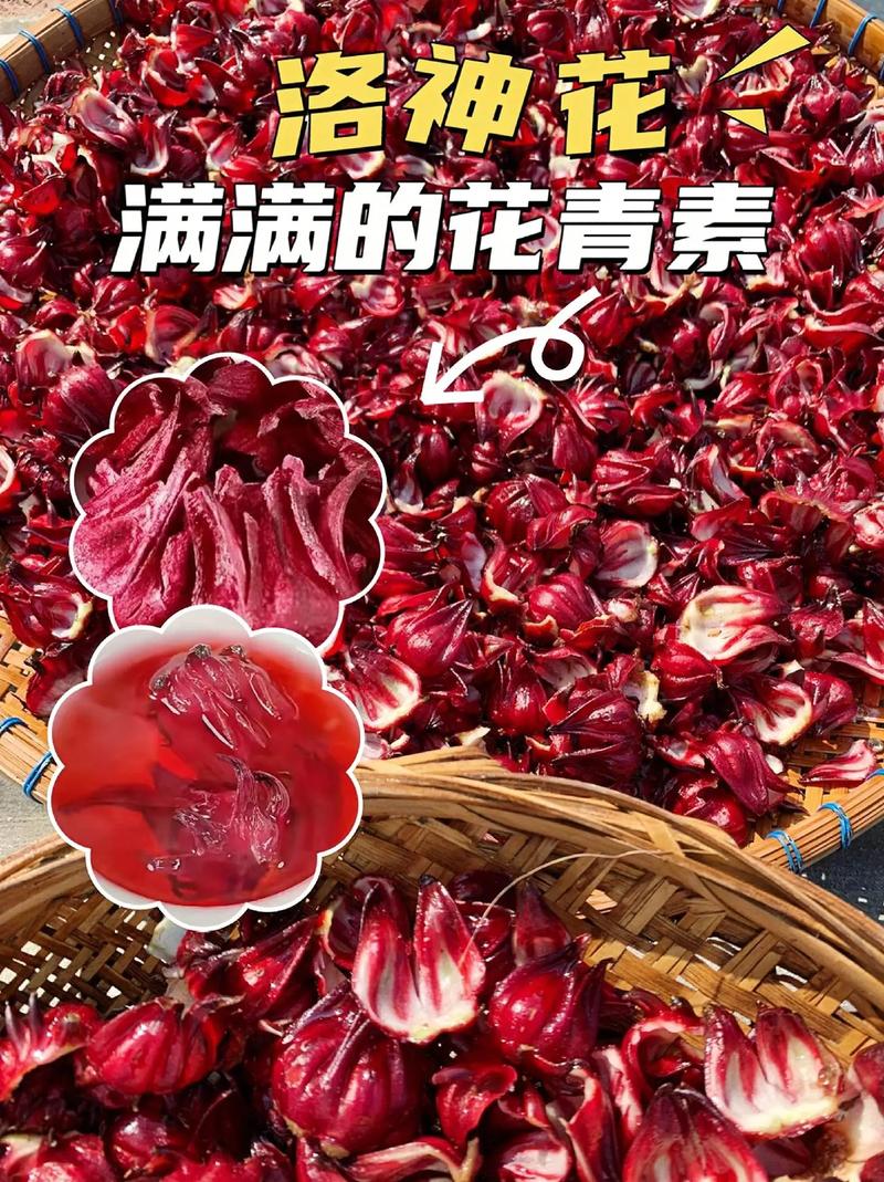 扶桑是洛神嗎