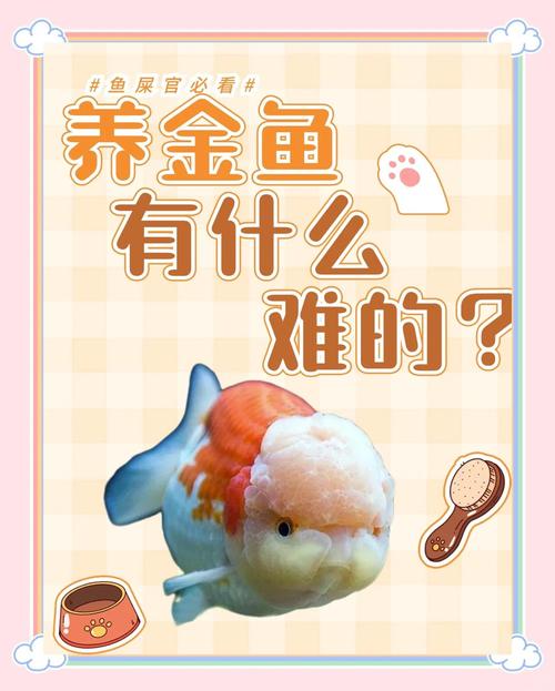 金魚可以只養一隻嗎