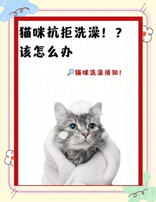 如何幫貓咪沖涼