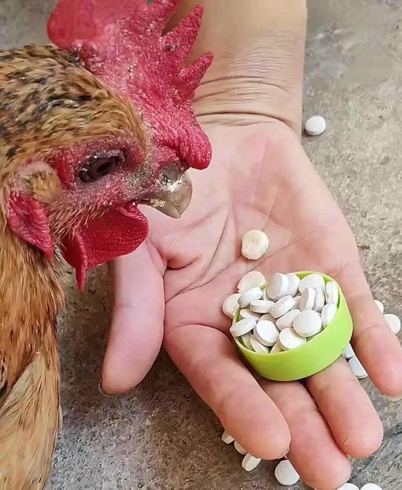 雞槌是什麼?深入解析這塊美味雞肉的部位、特點與料理秘訣 1 雞槌是什麼