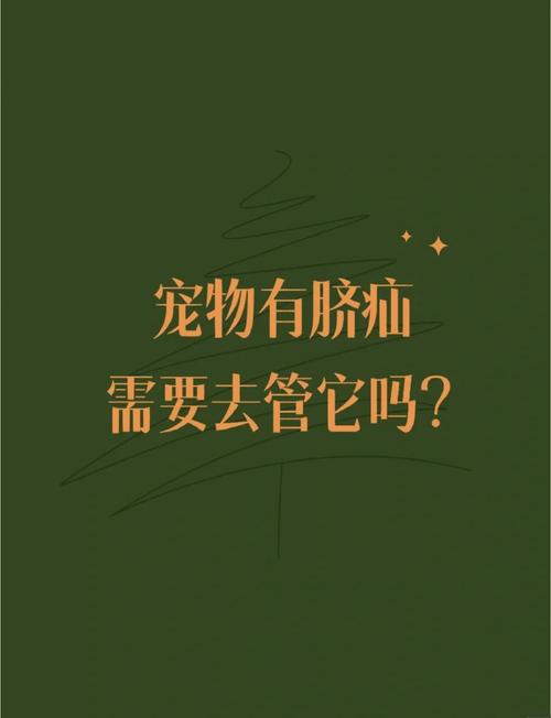 為什麼狗沒有肚臍