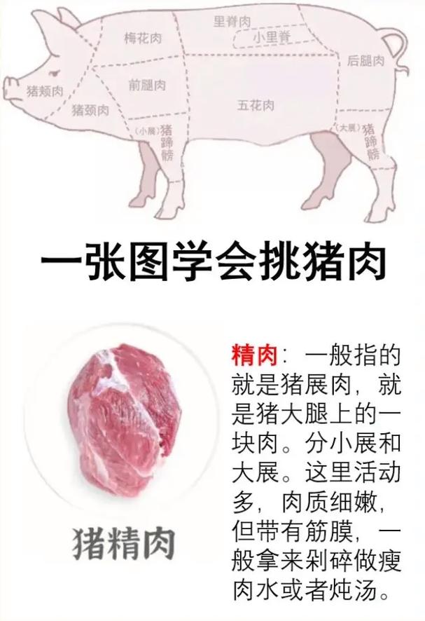 梅花肉是哪裡