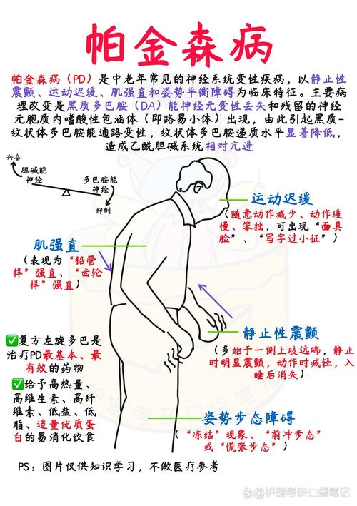 什麼是平衡機能障礙