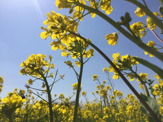 世界蛇王教育農場好玩嗎