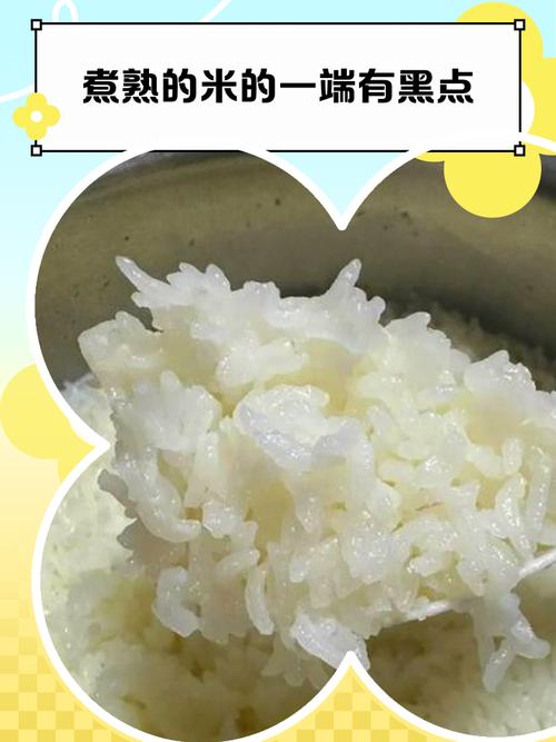 米粒有黑點可以吃嗎