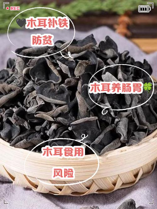 嬰兒多大可以吃木耳