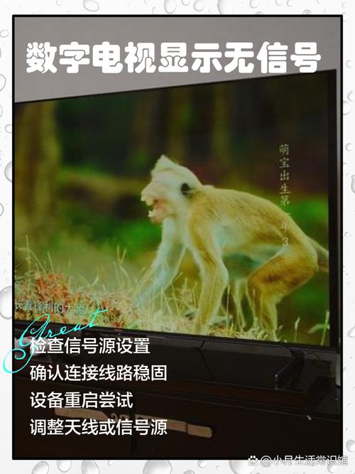 數位電視突然沒訊號