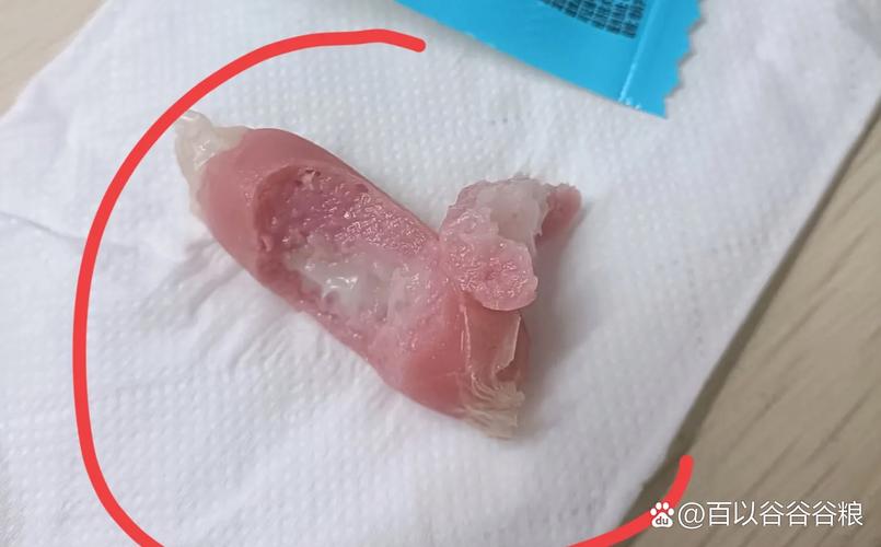 噁心的東西
