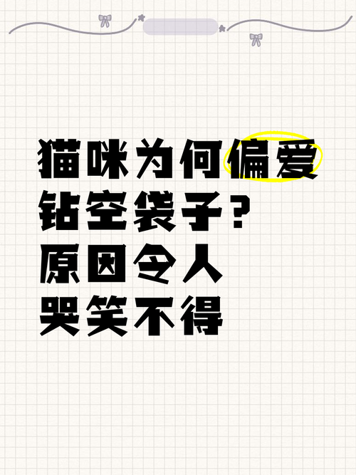 貓為什麼喜歡袋子