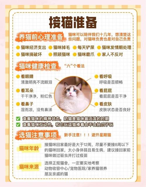 社宅可以養貓嗎