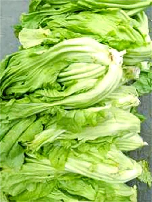 燙青菜 為什麼要加鹽巴