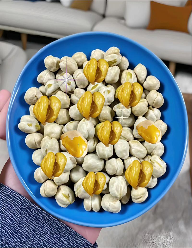 生酮飲食可以吃鷹嘴豆嗎