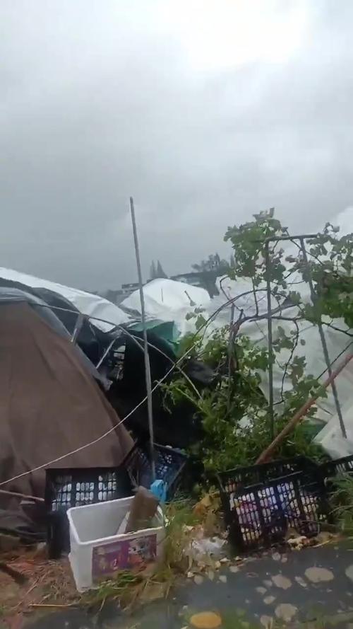 2008辛樂克颱風:一場豪雨肆虐的生態浩劫與社會省思 1 2008辛樂克颱風