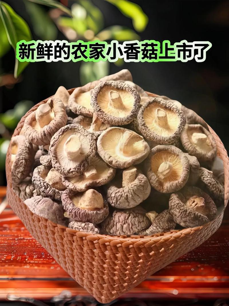 香菇算蔬菜嗎