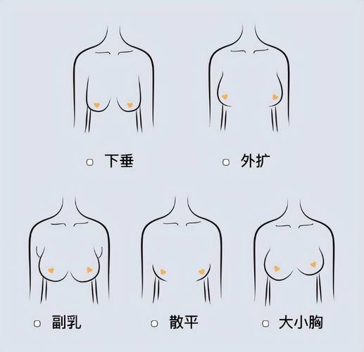 女生胸部漲到幾歲