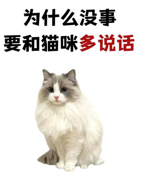 貓真的會說話嗎
