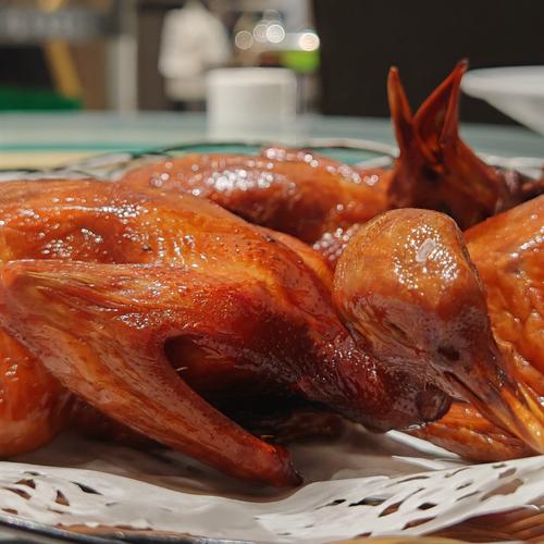 鴿子食物