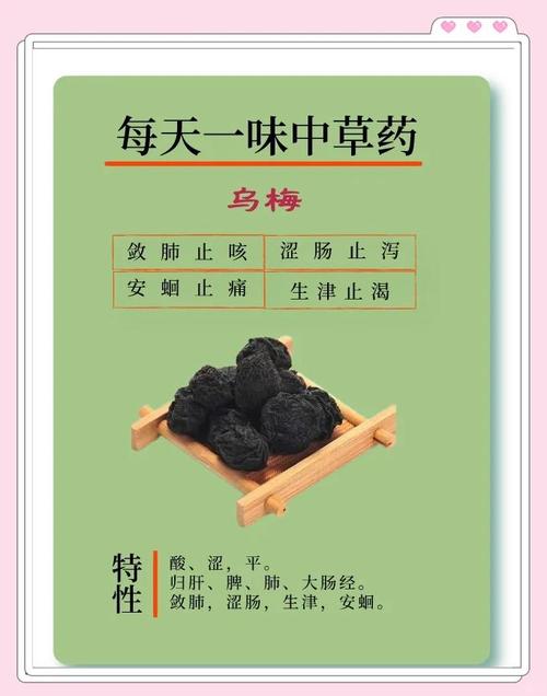 為何烏冬會酸
