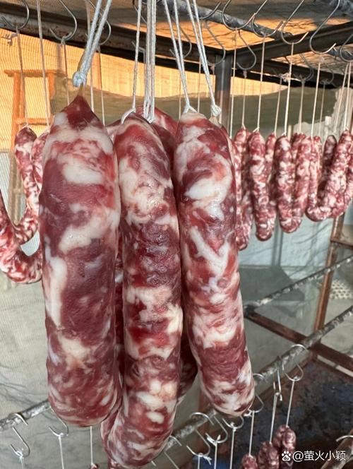 臘腸會致癌嗎?深入剖析加工肉品與健康的真相 1 臘腸會致癌嗎