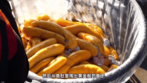 烏魚子為什麼這麼貴