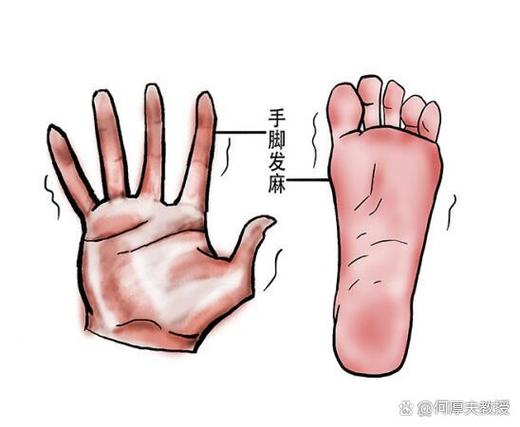 為什麼腳麻會刺刺的:深入解析腳麻與神經傳導的奧秘 1 為什麼腳麻會刺刺的