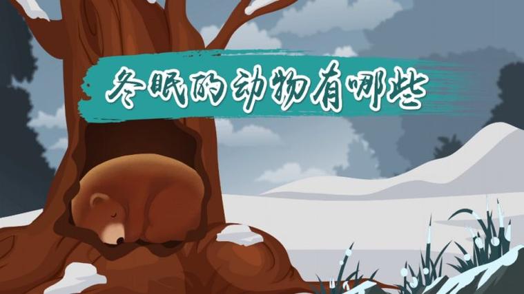 什麼動物冬眠最久?深度解析北極地松鼠的超級冬眠馬拉松與其他冬眠者的生命奧秘 3 什麼動物冬眠最久